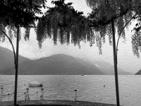 Menaggio
